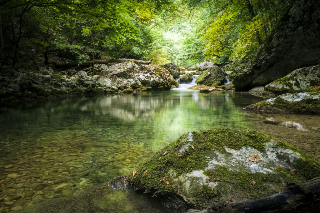 Створення сайту магазину місто Умань, розробка сайту магазину місто Умань, розробка сайтів в Умань