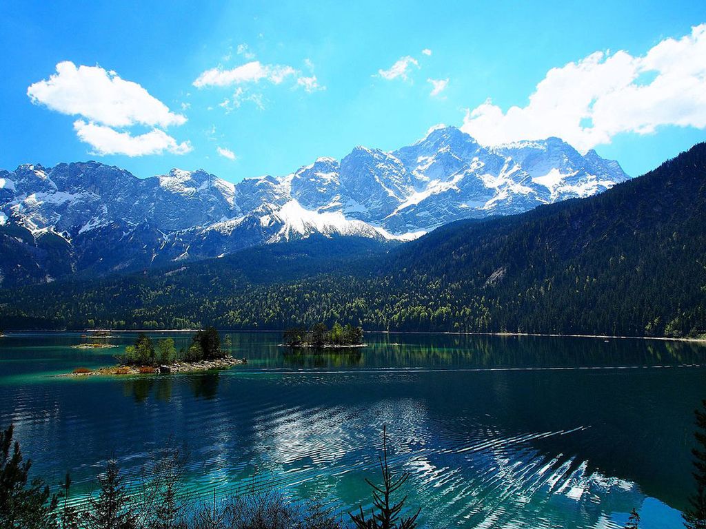 Створення сайту магазину місто Коростень, розробка сайту магазину місто Коростень, розробка сайтів в Коростень