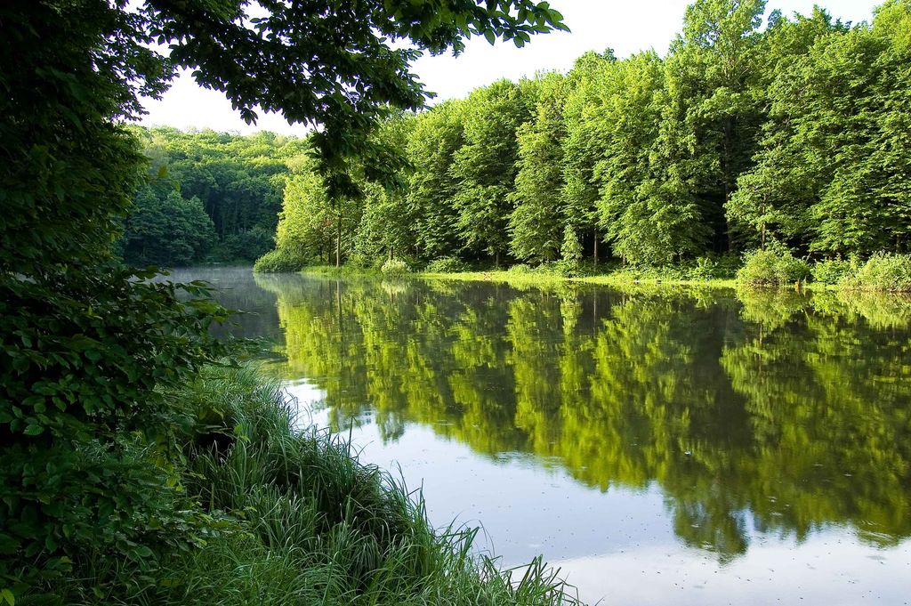 Створення сайту магазину місто Київ, розробка сайту магазину місто Київ, розробка сайтів в Київ