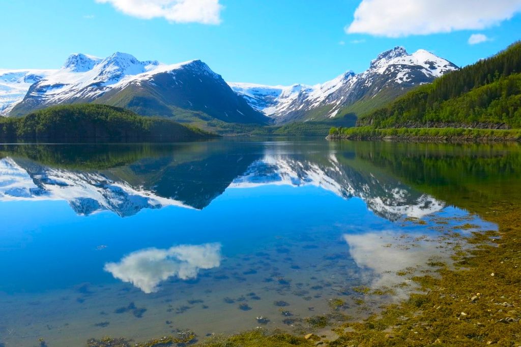 Створення сайту магазину місто Харків, розробка сайту магазину місто Харків, розробка сайтів в Харків