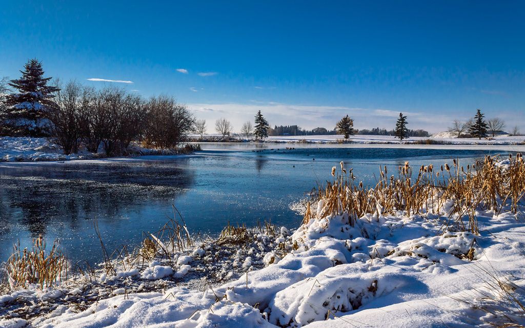 Створення сайту на php місто Вінниця, розробка сайту на php Вінниця, сайт пхп розробка Вінниця