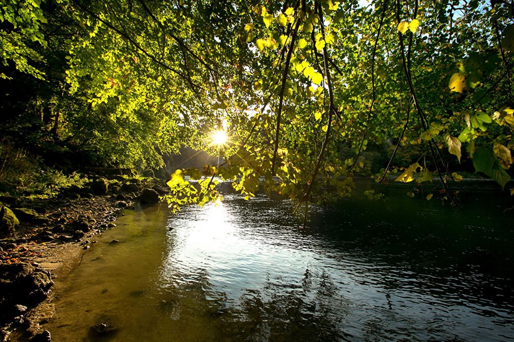 Створення сайту на php місто Овруч, розробка сайту на php Овруч, сайт пхп розробка Овруч