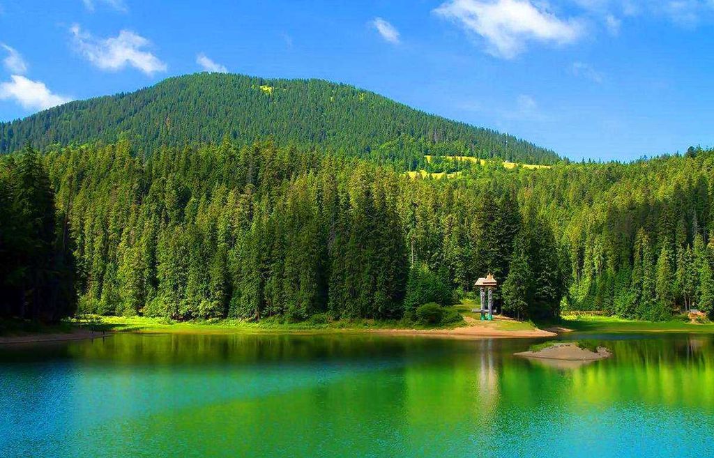 Створення сайту на php місто Київ, розробка сайту на php Київ, сайт пхп розробка Київ