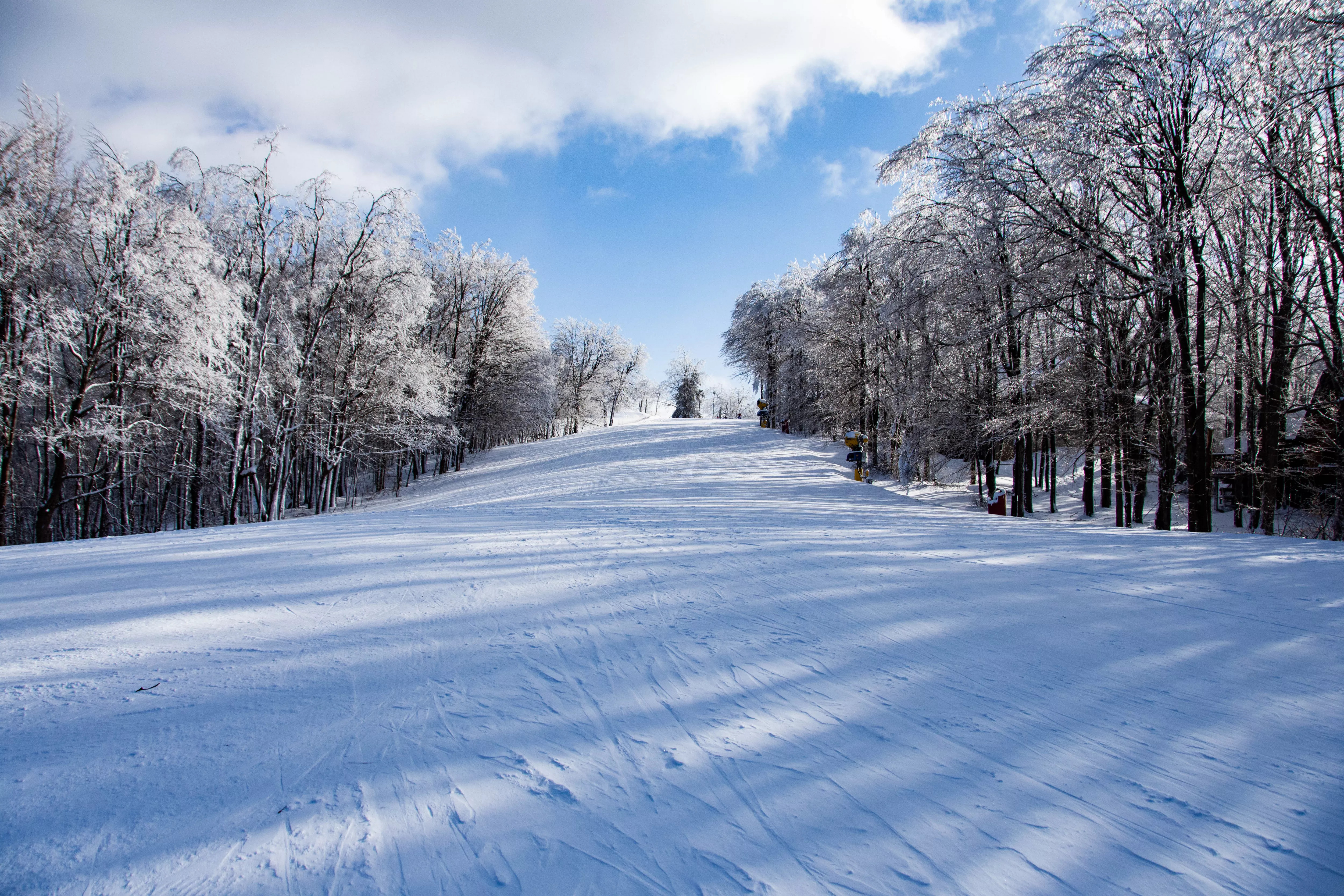 Wordpress розробка сайтів місто Житомир, wordpress розробник сайтів Житомир