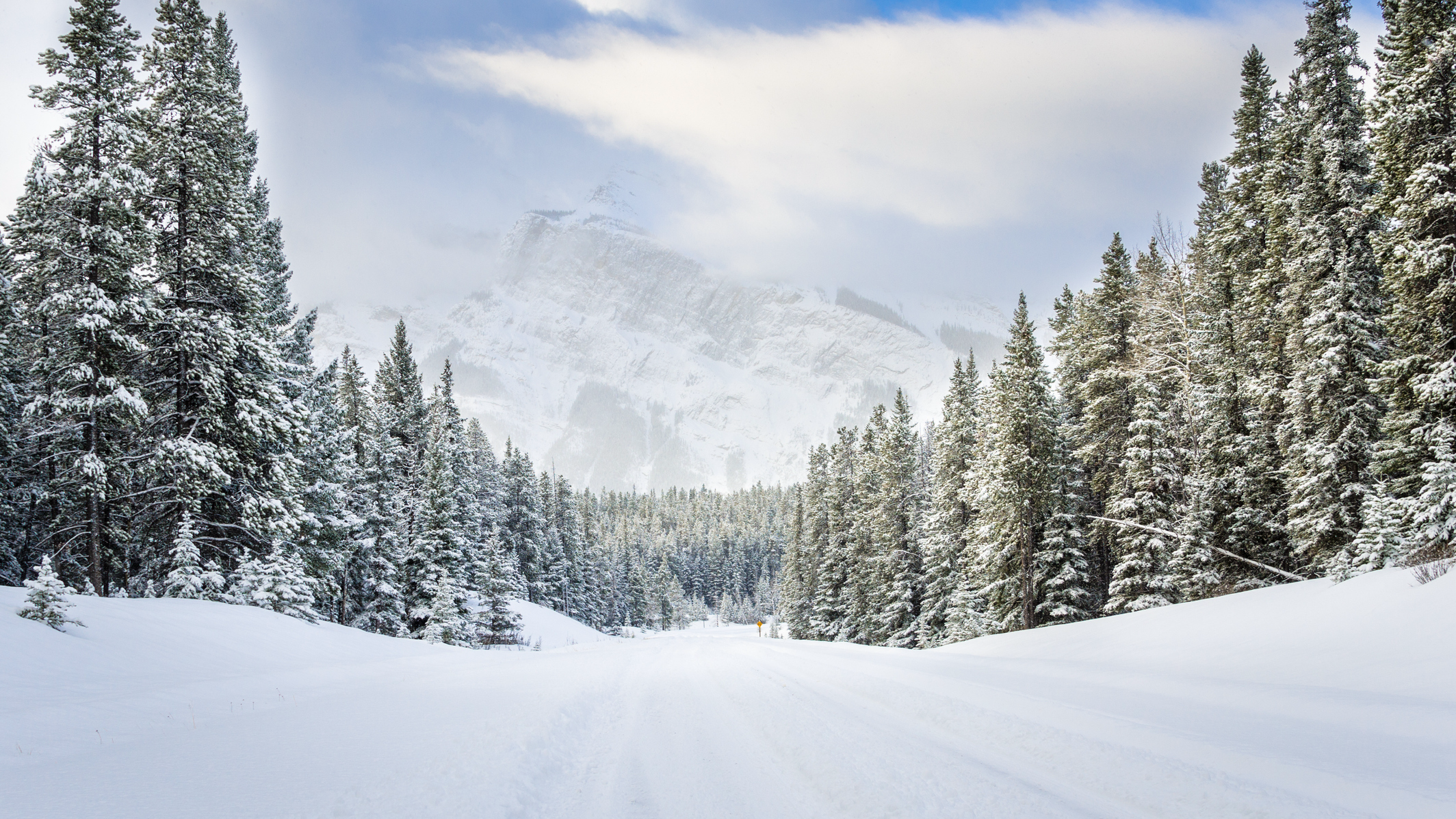 Wordpress розробка сайтів місто Коростень, wordpress розробник сайтів Коростень