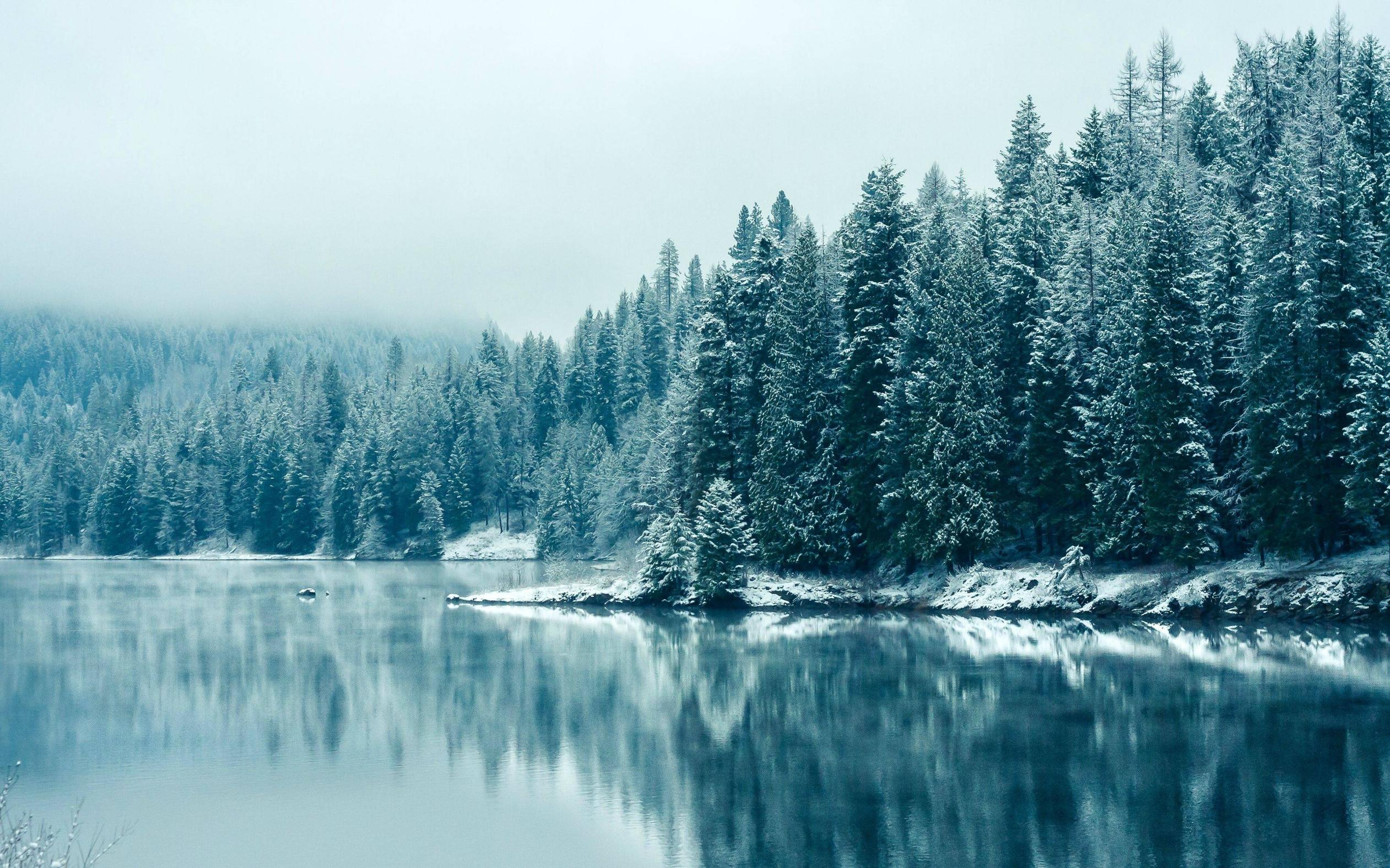 Wordpress розробка сайтів місто Бориспіль, wordpress розробник сайтів Бориспіль