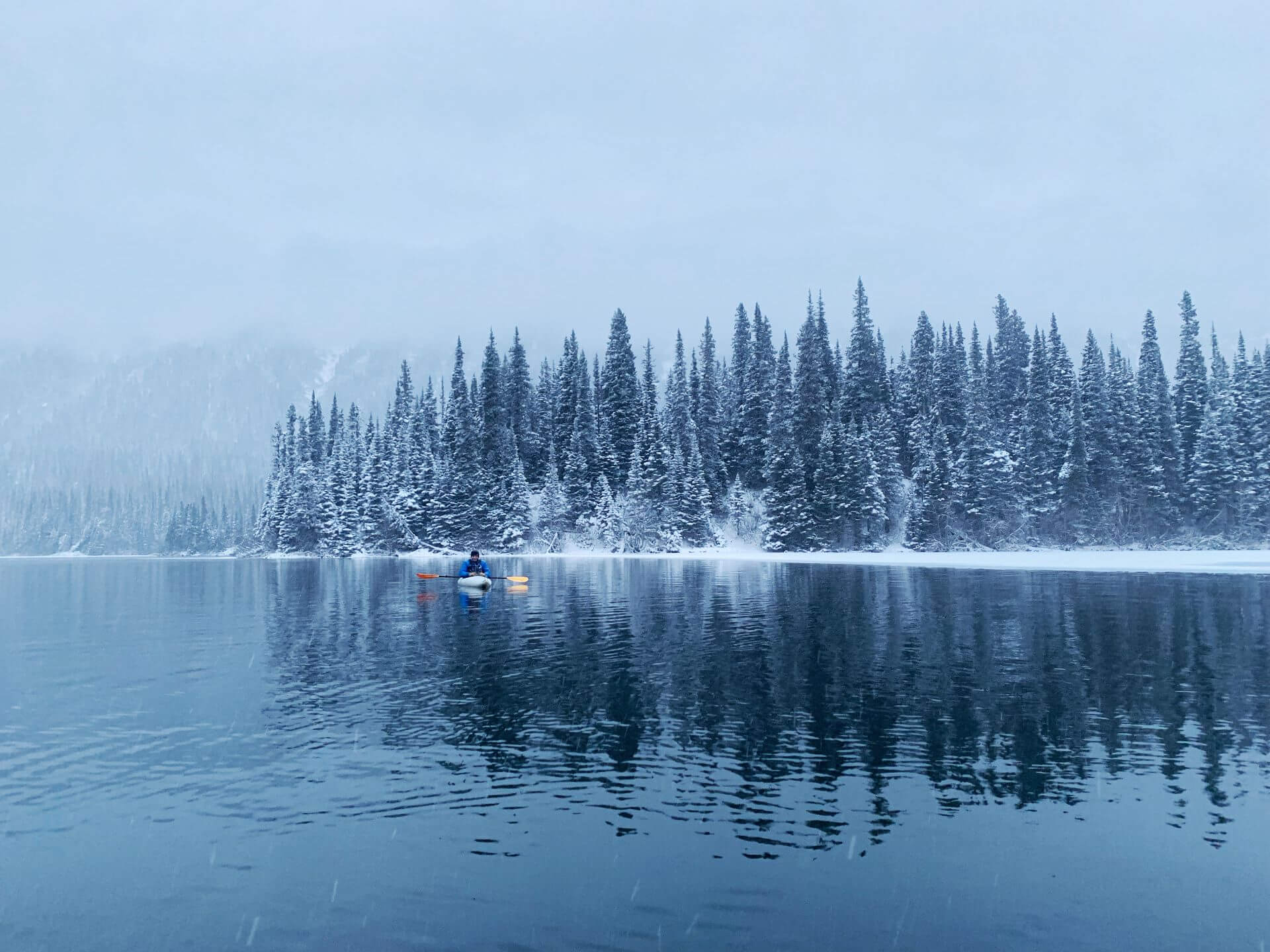 Wordpress розробка сайтів місто Малин, wordpress розробник сайтів Малин