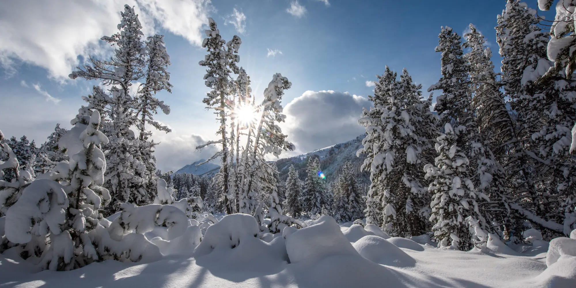 Сайт wordpress місто Овруч, сайт woocommerce Овруч, сайт вордпрес Овруч, сайт магазин Овруч