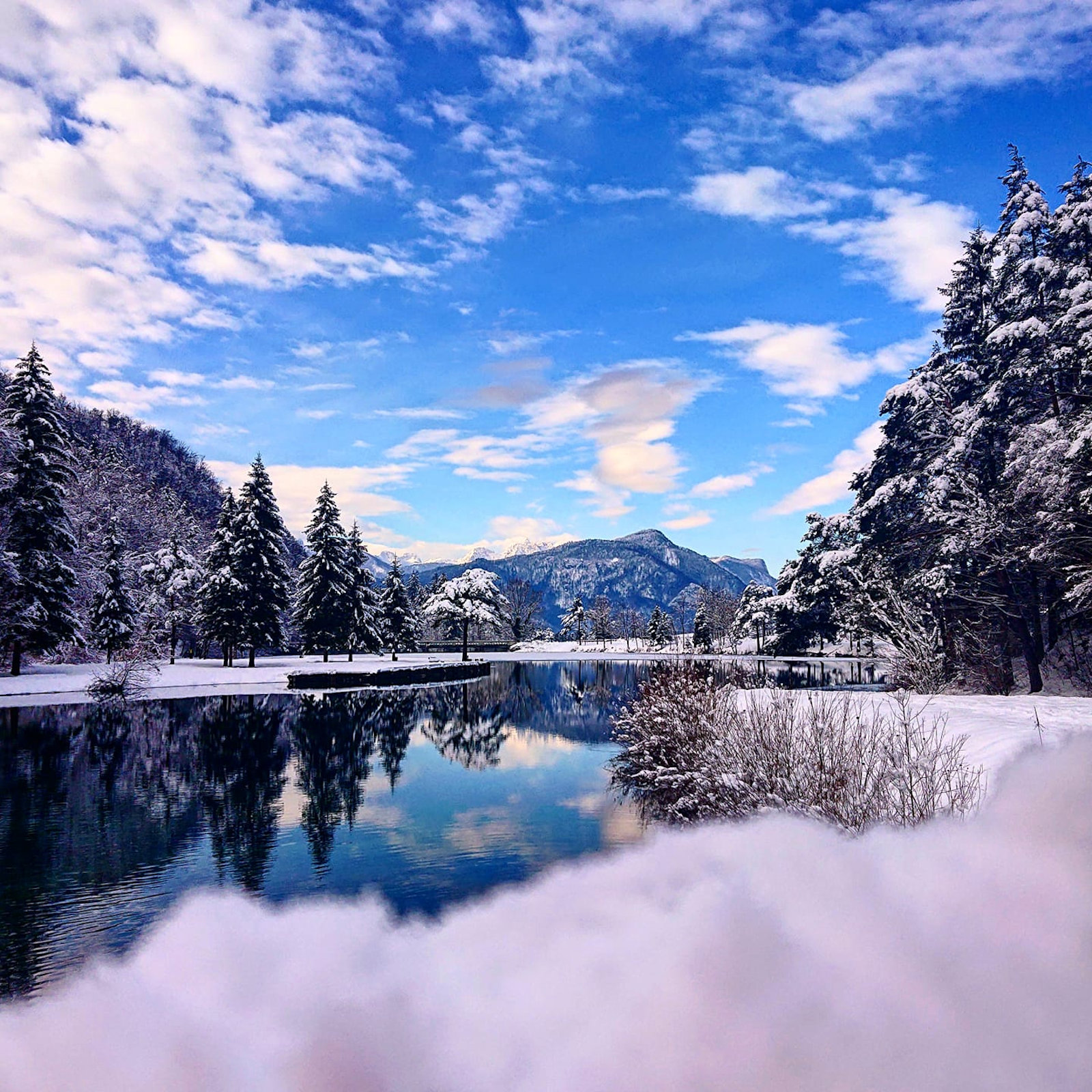 Створення сайту магазину місто Ужгород, розробка сайту магазину місто Ужгород, розробка сайтів в Ужгород