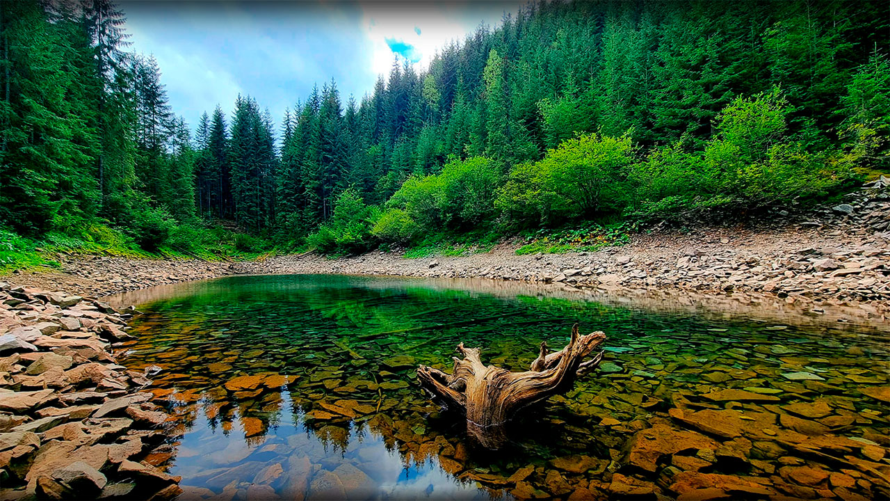 Створення сайтів під ключ місто Одеса, створення сайтів Одеса