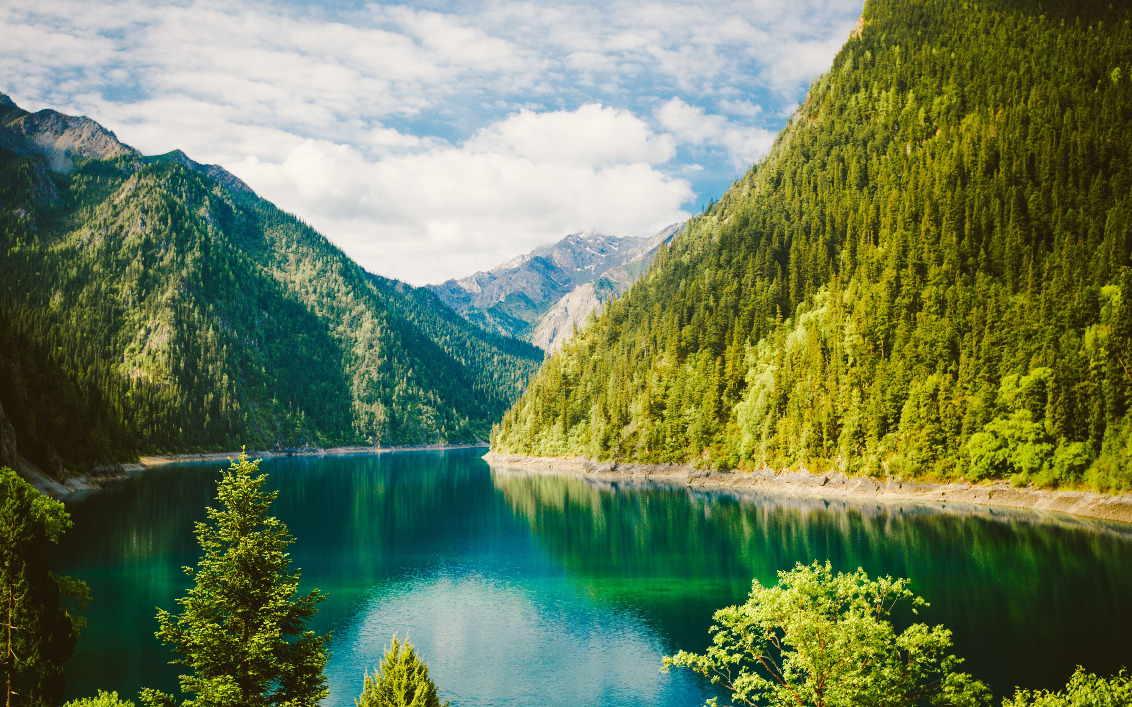 Створення сайтів під ключ місто Чернівці, створення сайтів Чернівці