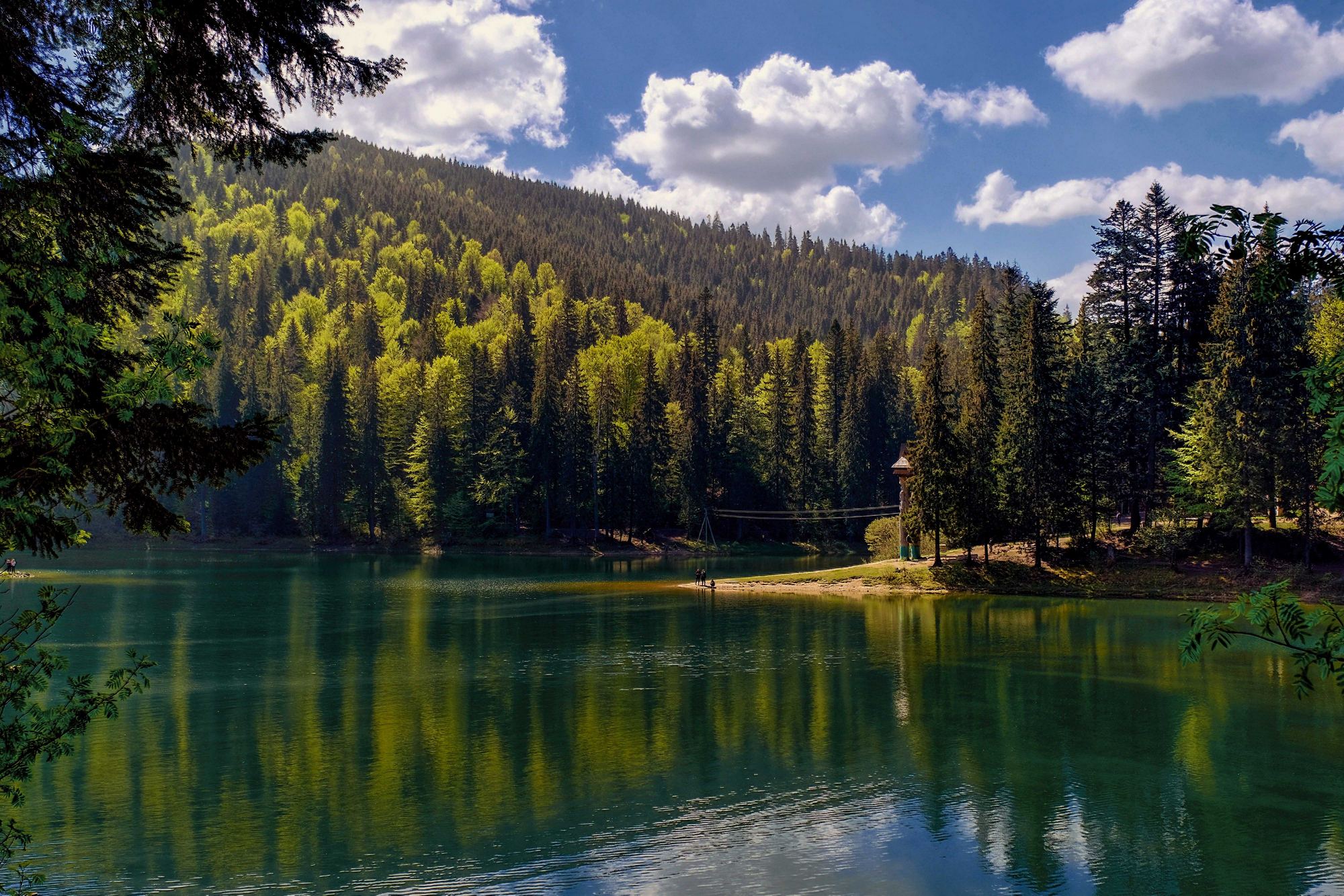 Створення сайтів під ключ місто Черкаси, створення сайтів Черкаси