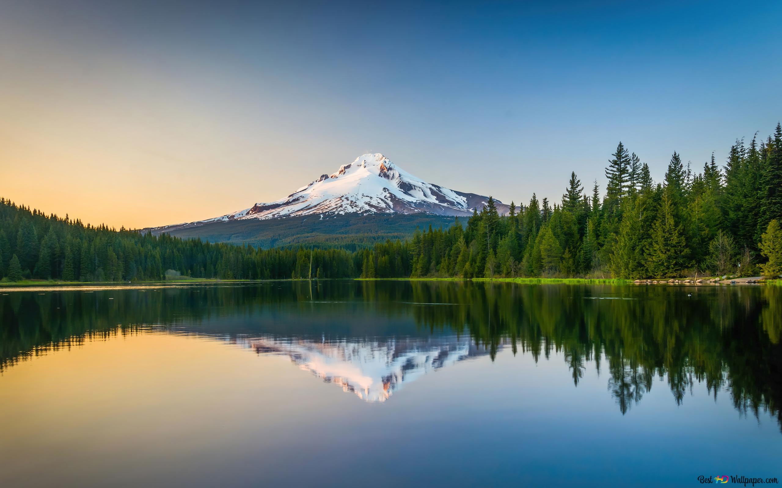 Створення сайтів під ключ місто Коростень, створення сайтів Коростень